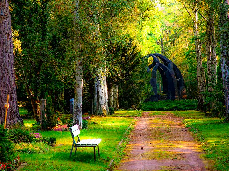 Latinos Healing Spaces